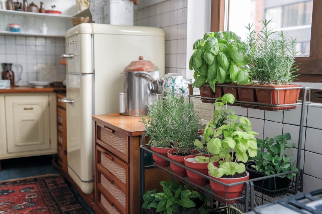 fresh herbs growing in an apartment kitchen. Showing how one can be self-sufficient even if you don't have a house.